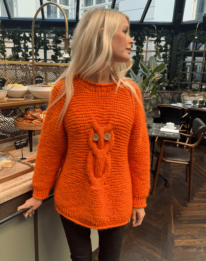 Ugle Sweater strikkekit